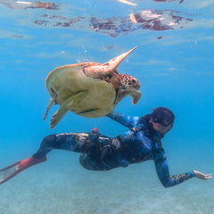 4 PACKAGE - WORKSHOPS, LINE DIVING, STATIC TRAINING, FUN DIVES